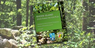 Rhode Island 2020 Forest Action Plan sign in a forrest