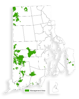 map with forest management areas highlighted
