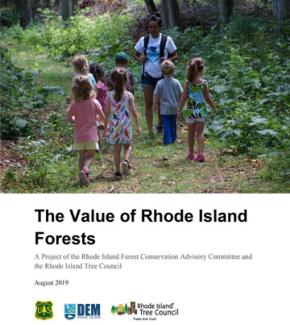 cover of the value of Rhode Island forests shows adult on forest path with kids