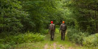 two people in camo and orange hats entering forest