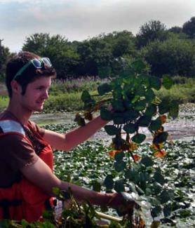 Aquatic Invasive Species Response Efforts