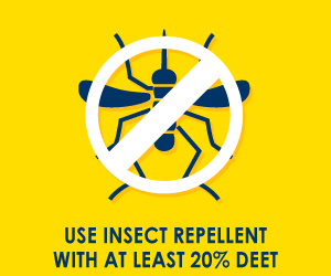 use insect repellent with at least 20% deet