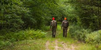 two people in camo with orange hats walking into the woods
