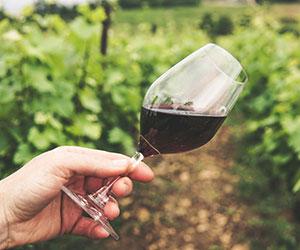 glass of red wine held sideways