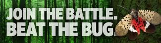 join the battle. beat the bug