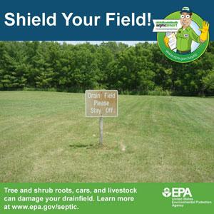 Shield your field