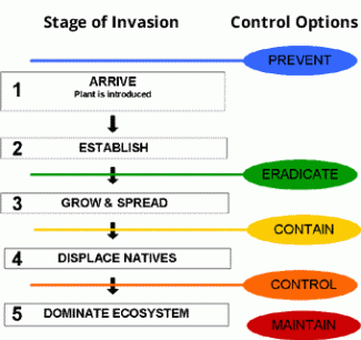 Stages of Invasion chart