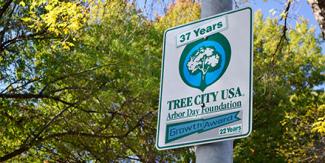 street sign says 37 Years Tree City USA Arbor Day foundation