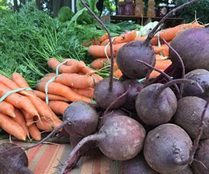 piles of beets and carrots