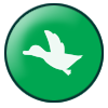 white duck flying on green circle background