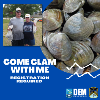 Come clam with me