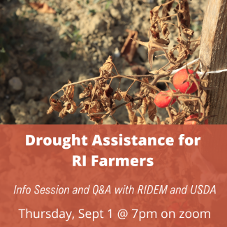 Drought Assistance for RI Farmers