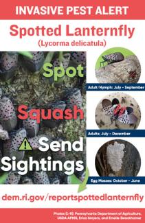 Spot Squash Send Sightings of SLF