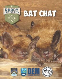 Bat Chat Educator Packet Cover