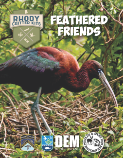 Feathered Friends Educator Packet Cover