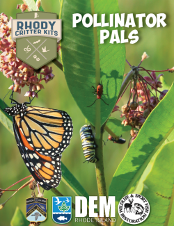 Pollinator Pals Educator Packet Cover