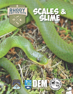Scales and Slime Educator Packet Cover