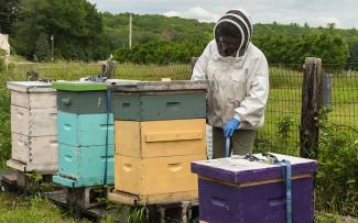 A beekeeper in protective gear stands by bee colonies at Snake Den Farm in Johnston