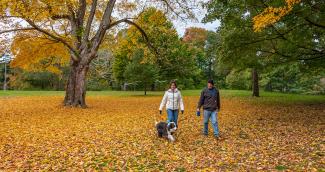 Fall hike at Goddard Memorial State Park