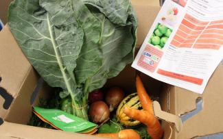 box filled with leafy greens, carrots, onion, and other locally grown produce