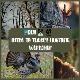 intro to turkey hunting program advertisement 