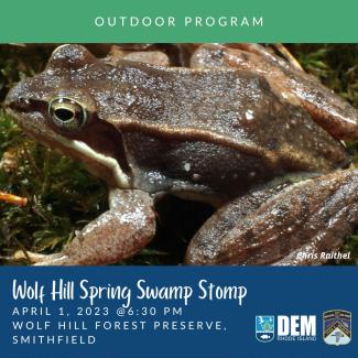 A wood frog alongside the date and time for the Wolf Hill Spring Swamp Stomp outreach event. Photo by Chris Raithel.