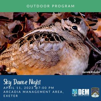 An American woodcock alongside the date and time for the Sky Dance Night outreach event. Photo by Gerald Krausse.