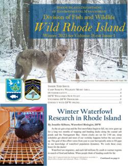 Cover of Winter 2023 edition of Wild RI Journal shows an Eastern Coyote standing in a wintery forest