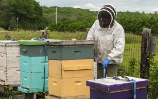 A beekeeper in full protective gear standing near bee boxes in a field at Snake Den State Park
