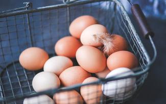 Stock image of chicken eggs sit in a metal wire basket