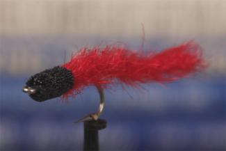 cinder worm fly