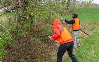 Volunteers with brush trimming tools working on an overgrown trail at Carolina Management Area in Richmond