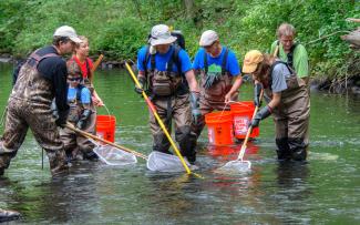Fish count volunteers walking in river with nets looking at the water