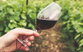 A hand tips a glass of red wine with a green leafed vineyard behind it