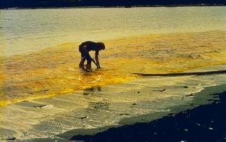 A clean-up worker in the process of skimming oil as part of the clean-upprocess after the World Prodigy oil-spill. 