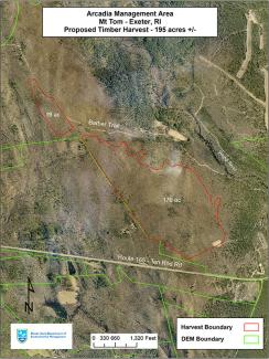 Aerial map of forest health cut at Mount Tom area of Arcadia Management Area