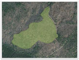 Aerial view of forest harvest at George Washington Management Area