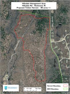 Aerial map showing the area of a forest health cut at Hillsdale Preserve Management Area