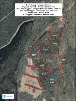 Aerial map showing the area of a forest health cut at Great Swamp Management Area