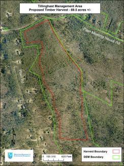 Aerial map of Tillinghast Pond Management Area