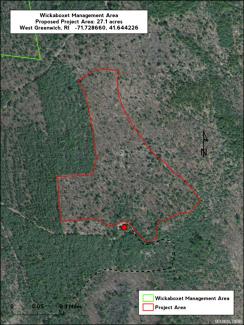 Aerial map showing the area of a forest health cut at Wickaboxet Management Area