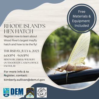 hex hatch flyer