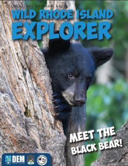 A black bear cub peeks around a tree trunk on the cover of the summer 2023 Wild Rhode Island Explorer magazine.
