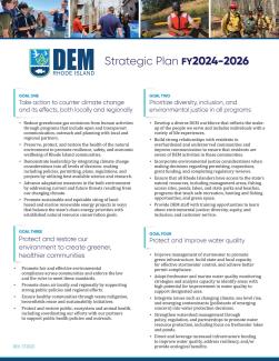 Visual of DEM Strategic Plan