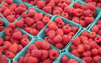 Cartons of bright red raspberries