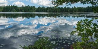 Blue skies and fluffy white clouds are reflected in the waters of Tillinhast Pond with a thick pine forest in the distance