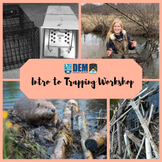 intro to trapping workshop
