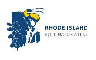 Logo design for the Rhode Island Pollinator Atlas, shows a blue outline of the State of RI with a wild bee and native flower