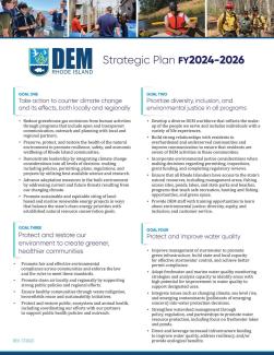 Cover page of the DEM strategic plan