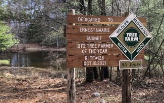 A wooded sign shows the conservation status of a forested area